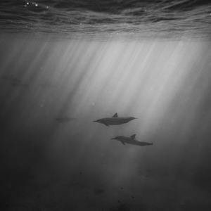 精品无码国产一区二区三区桃色
