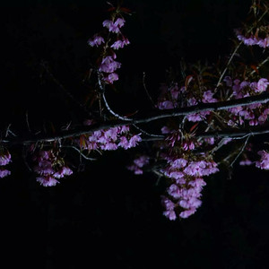 精品无码国产一区二区三区桃色
